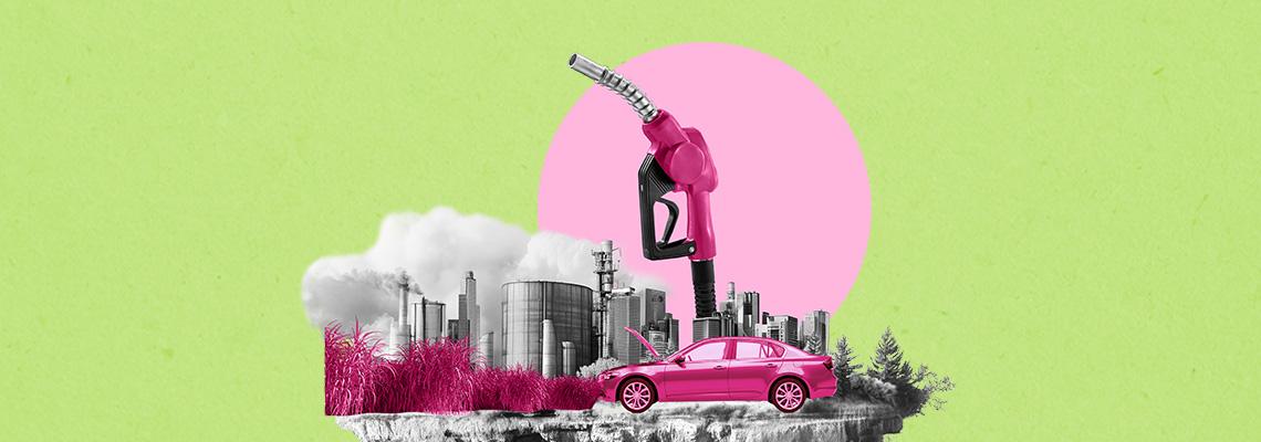A cana de açúcar como motor da transição energética